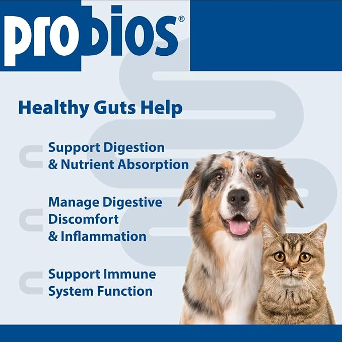 Probios Probiocin Oral Gel for Dogs & Cats, 15 g Tube
