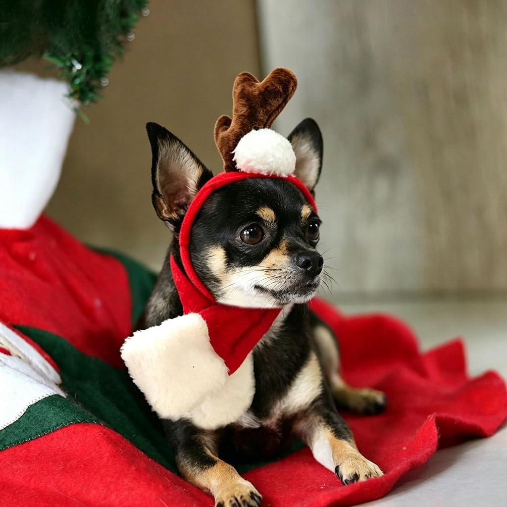 NAMSAN Pet Reindeer Costume for Cats Small Dogs Rabbits, Christmas Cat Single Antler Headband with Red Scarf, Small Dog Max Santa Antler Outfit for Christmas New Year Party Cosplay Statue Decoration