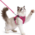 rabbitgoo Cat Harness and Leash Set, Easy-on with Neck Buckle, Rose Red