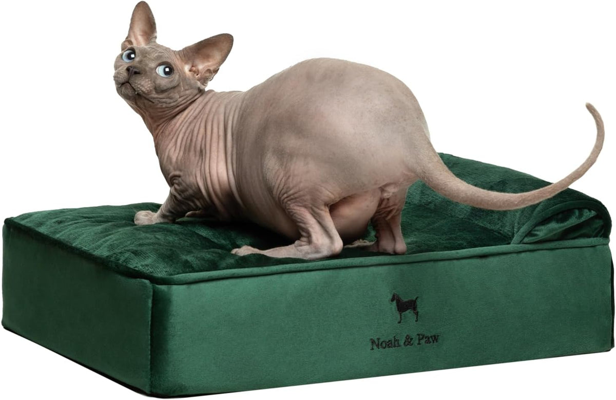 NOAH & PAW Small Cat & Dog Bed Orthopedic Cooling Memory Foam 20x15x6.5
