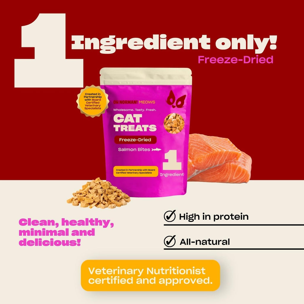 Oh Norman! Salmon Freeze Dried Treats for Cats - Crunchy & High Protein