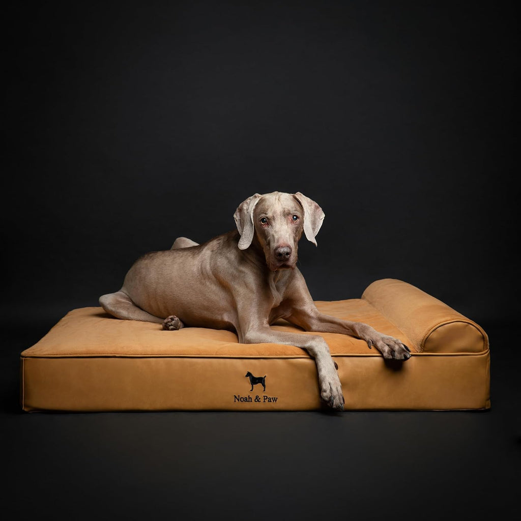 NOAH & PAW XL Dog Bed Orthopedic Memory Foam Cooling Gel 45x35x9.1 in