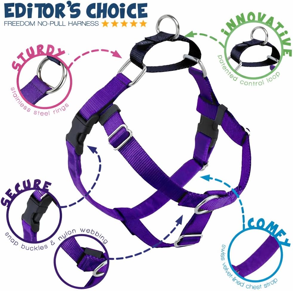 2 Hounds Design Freedom No Pull Dog Harness and Leash, 1" MD, Purple