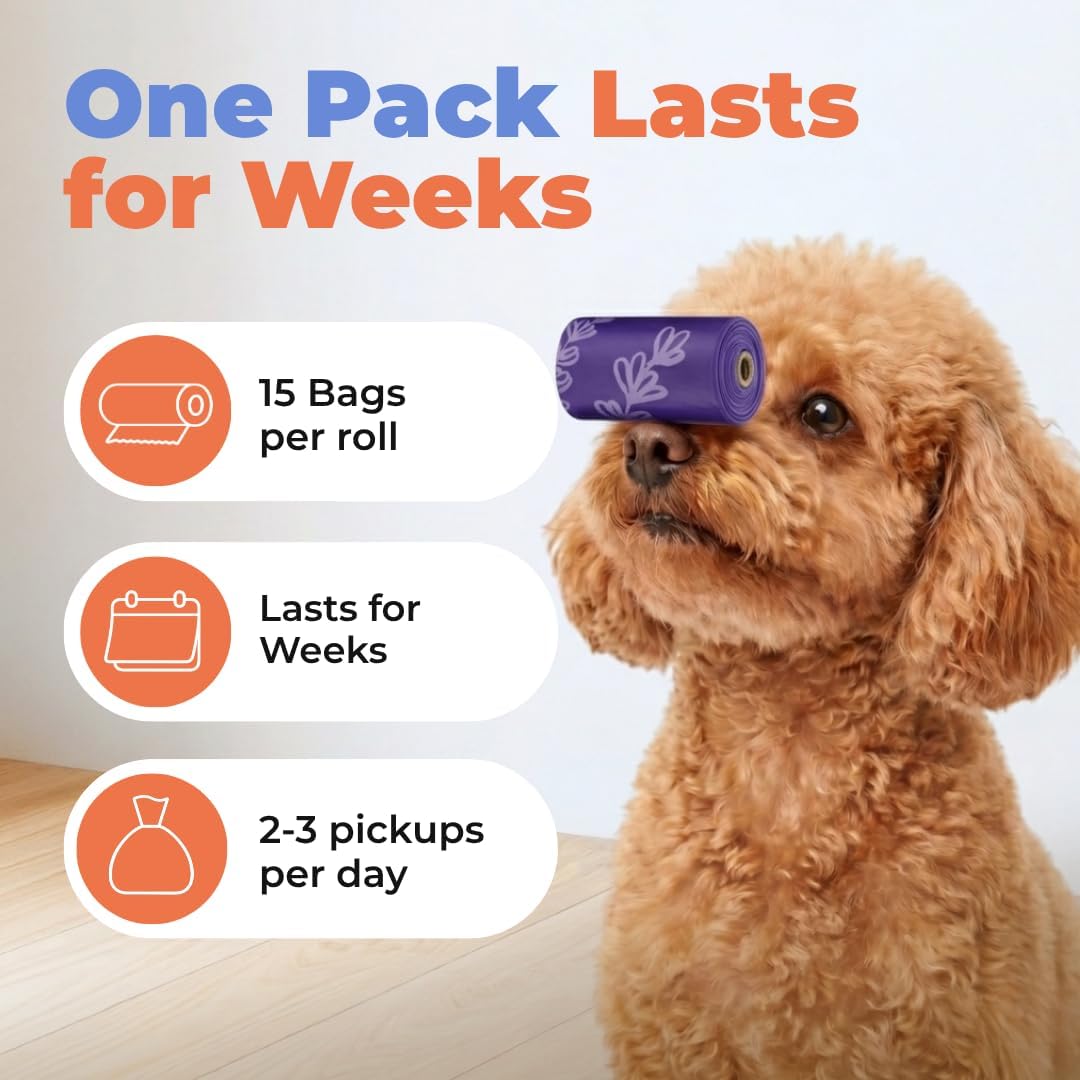 Best Pet Supplies Poop Bags for Dogs - Lavender, 240 Count | Scented, Leak-proof, Easy-Tear perforations, 15 Thick Bags per roll, Outdoor Walking & Travel, Fits Standard Holders