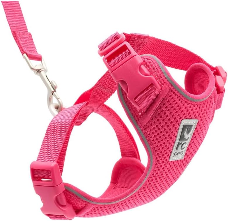 RC Pets Adventure Kitty Harness, 6ft Leash, Small, Azalea