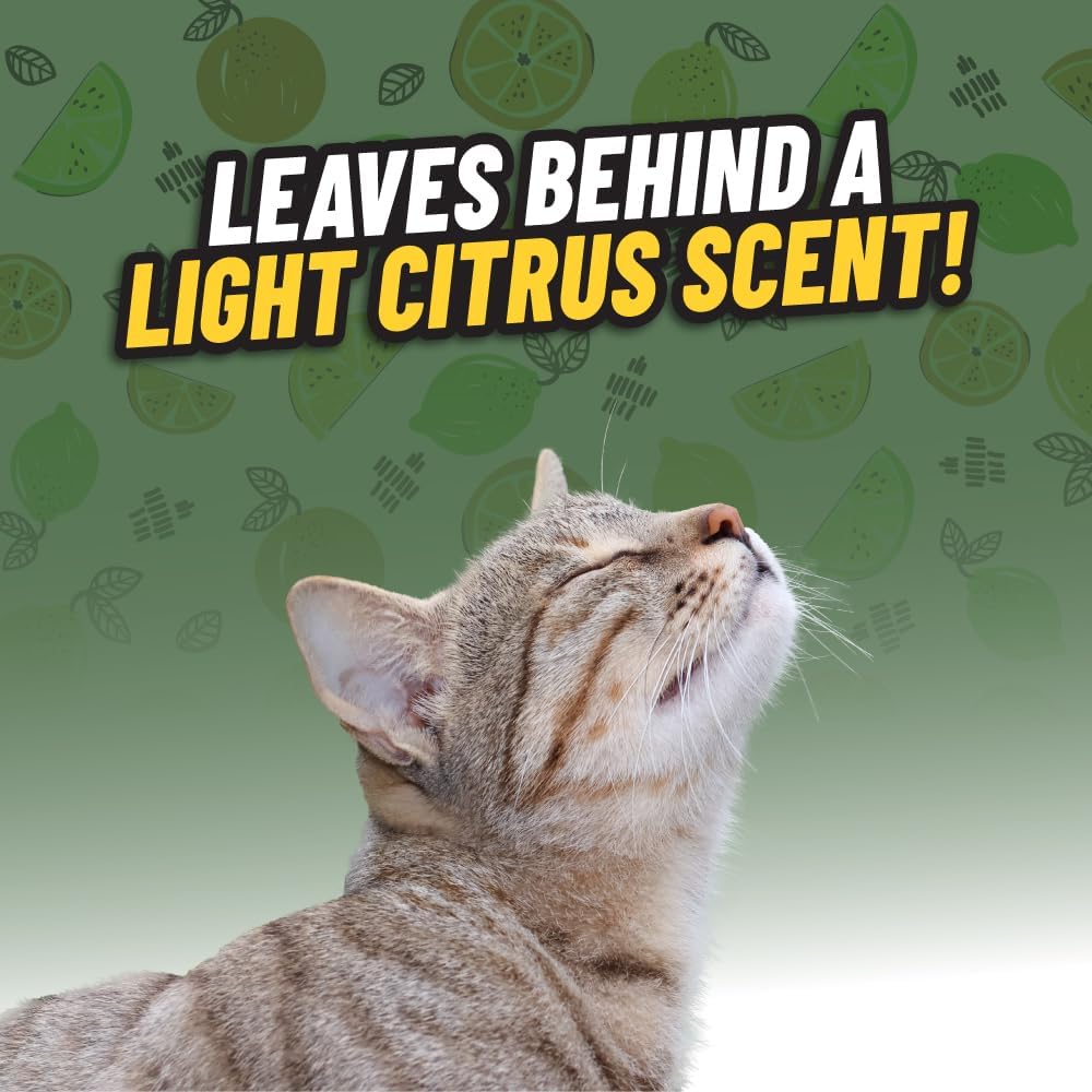 Chemical Guys, Ghosted Pet Odor Neutralizer Spray, Citrus Scent, 32 fl oz