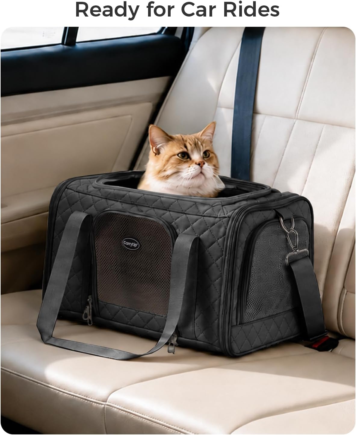 Cat Carrier Airline Approved, Soft Pet Carrier, 17x11x9.5 in, Black
