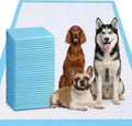 XXXXL Puppy Pee Pads 31"x47" 100 Count, Extra Large for Dogs, Leak-Proof & Super Absorbent, Thicken Disposable Potty Training Pads for Cats Rabbits