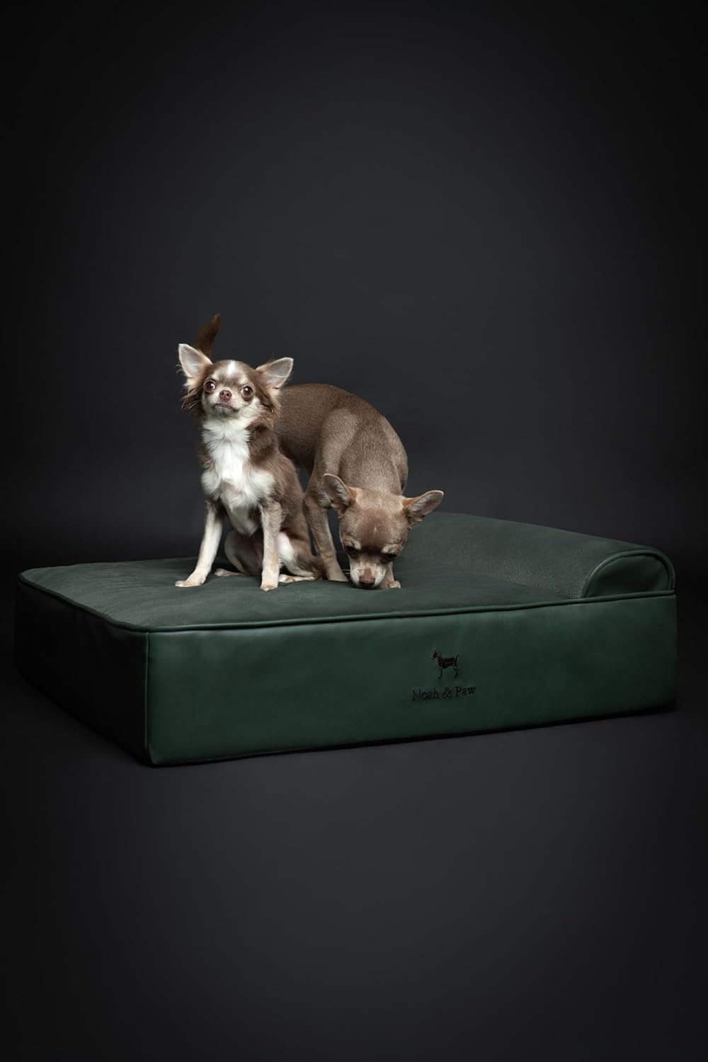 NOAH & PAW Medium Dog Bed Orthopedic Memory Foam Cooling Gel 28x23x7.5 in