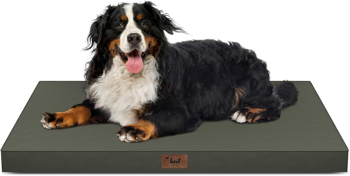 Outdoor Extra Large Dog Bed XXL for Giant Breed Dogs