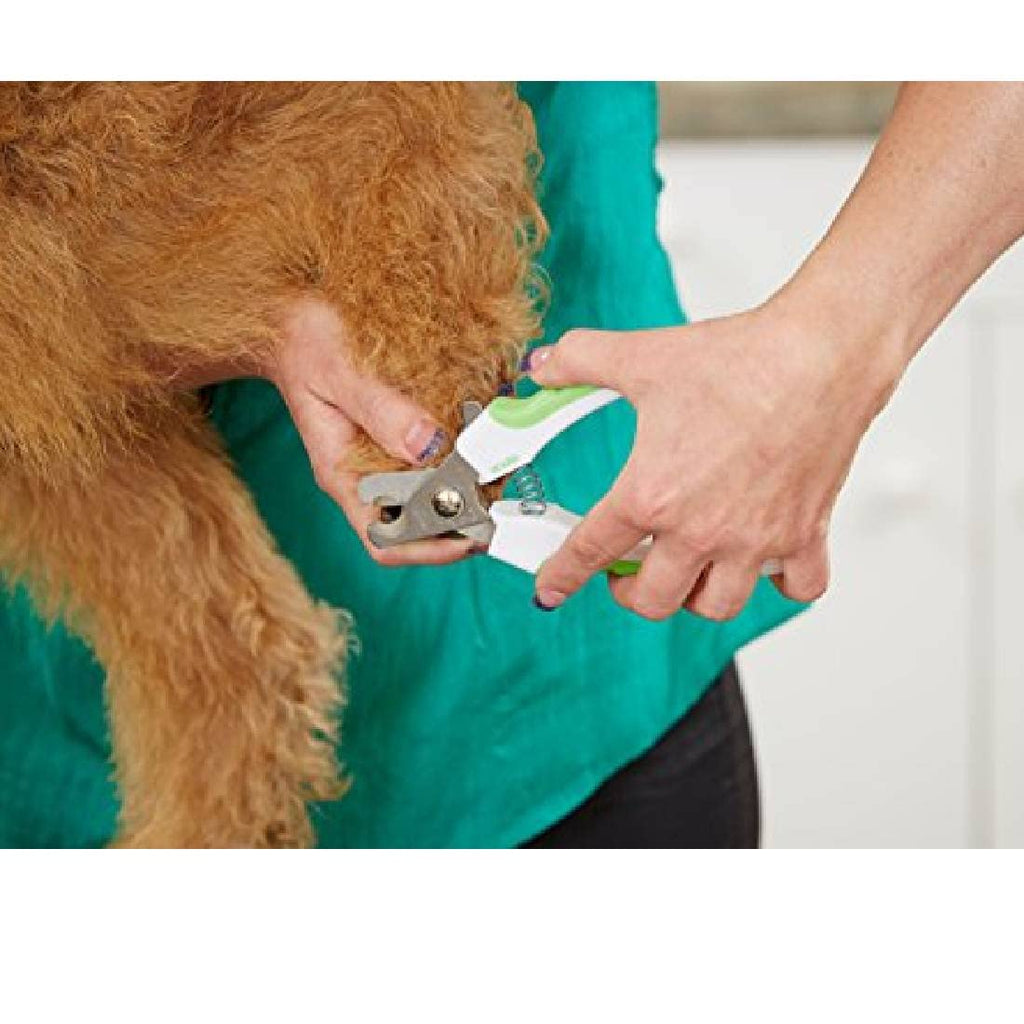 Andis 65700 Animal Nail Cutter for Small Breeds - Stainless Steel Blades with Sharp Efficiency - Designed for Repeated Use & Recommended by Pet Trainers – Medium Size & White/Green