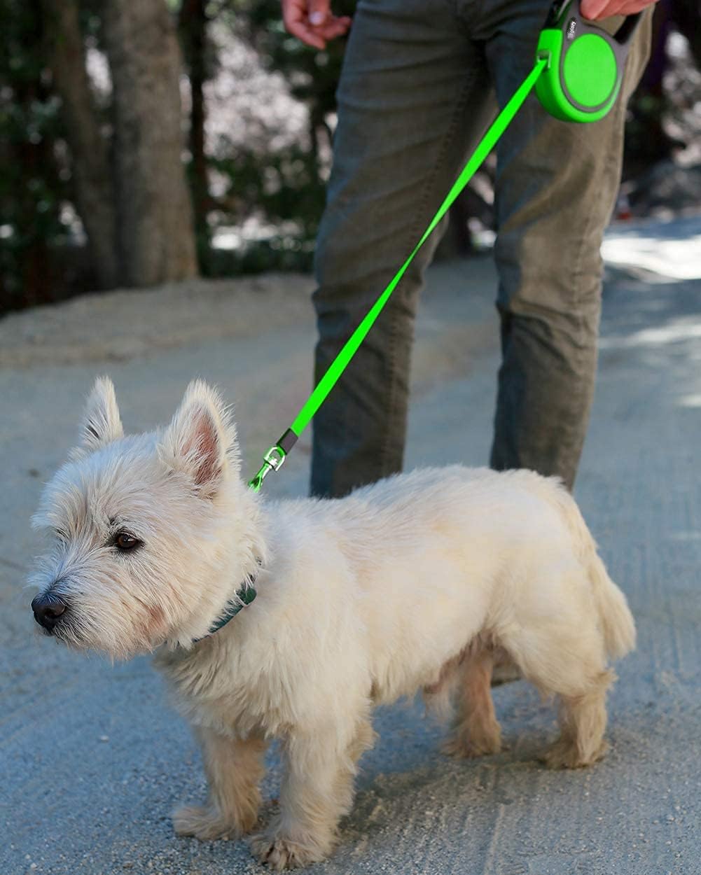 Taglory Retractable Dog Leash, One-Handed Brake, 16ft, Up to 44 lbs, Green