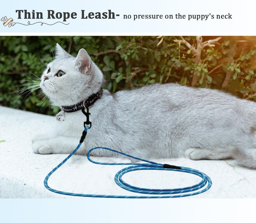 WYuZe Reflective X-Small Dog Leash 6FT Lightweight 1/5" Thin Rope Cat Leash