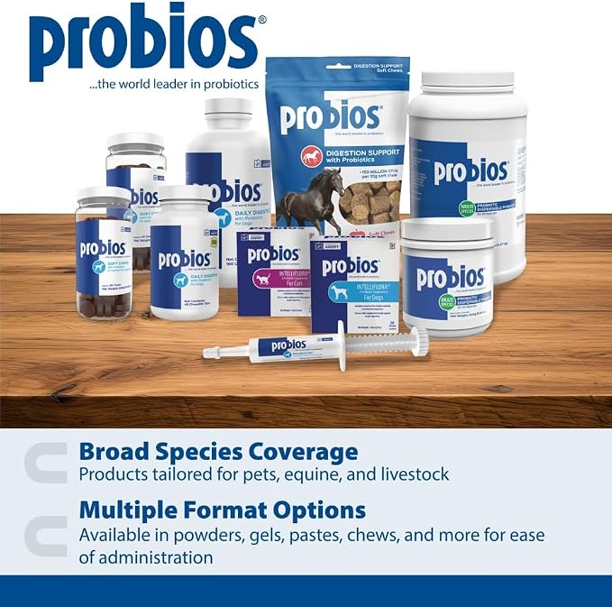 Probios Probiocin Oral Gel for Dogs & Cats, 15 g Tube