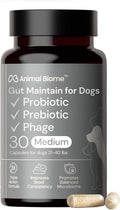 Animal Biome Medium Dog Pre & Probiotics, S Boulardii, Gut Maintain, 30 Ct