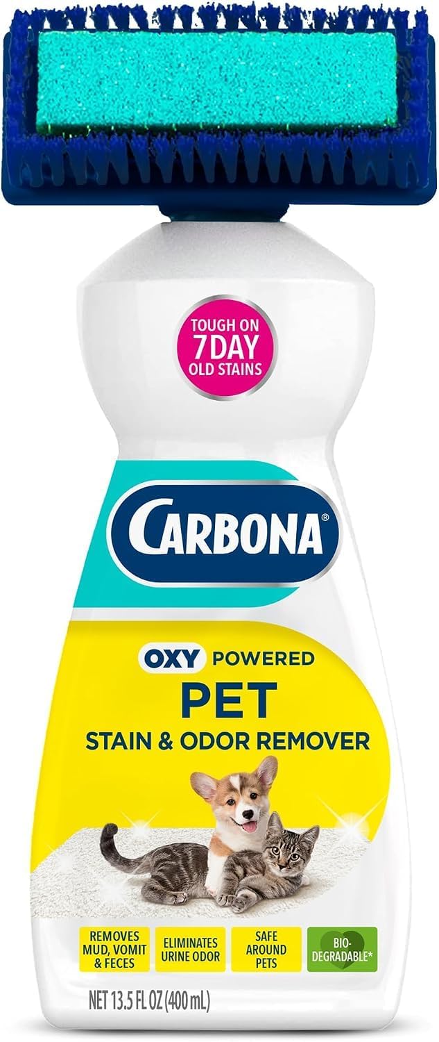 Carbona Oxy-Powered Pet Stain & Odor Remover, 2-in-1 Foaming Carpet Cleaner with Built-In Brush, Targets Urine, Vomit, Mud Messes from Dogs, Cats, 13.5 Oz (Pack of 3)