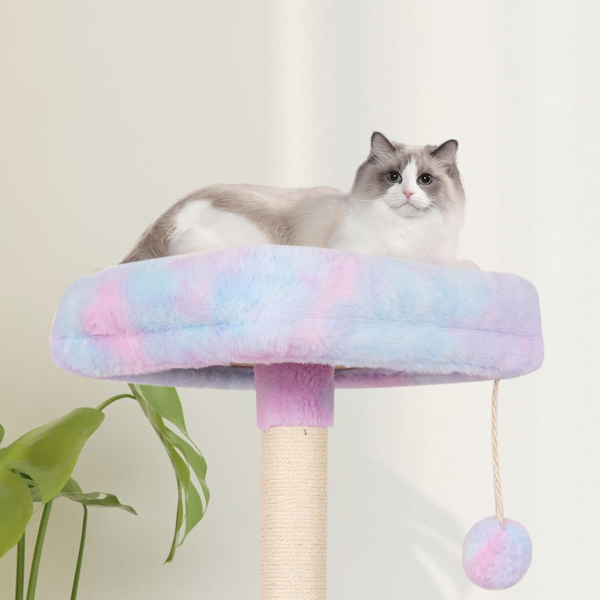 Cut Cat Tree Cat Tower Condo with Hammock Kittens Scratching Post Rainbow