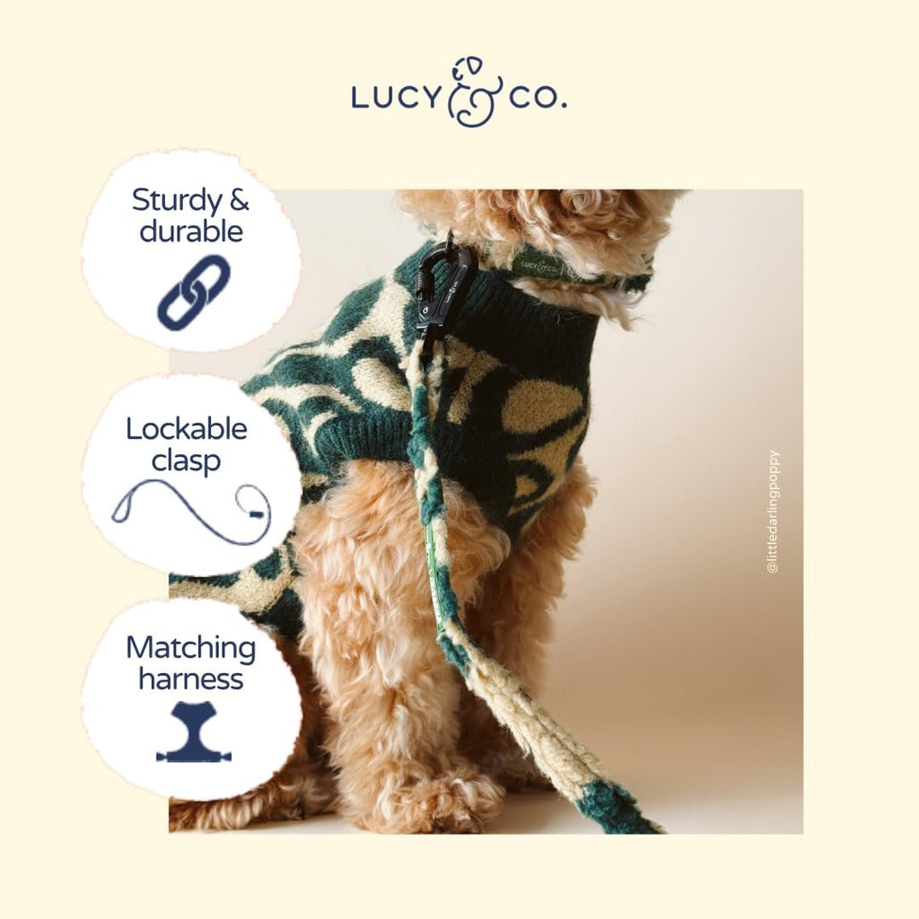 Lucy & Co. x Parks Project Geyser Fleece Dog Leash, S