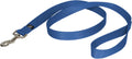 PetSafe Nylon Dog Leash - Strong, Durable, Traditional Style Leash with Easy to Use Bolt Snap - 1 in. x 4 ft., Royal Blue
