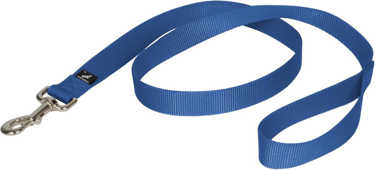 PetSafe Nylon Dog Leash - Strong, Durable, Traditional Style Leash with Easy to Use Bolt Snap - 1 in. x 4 ft., Royal Blue