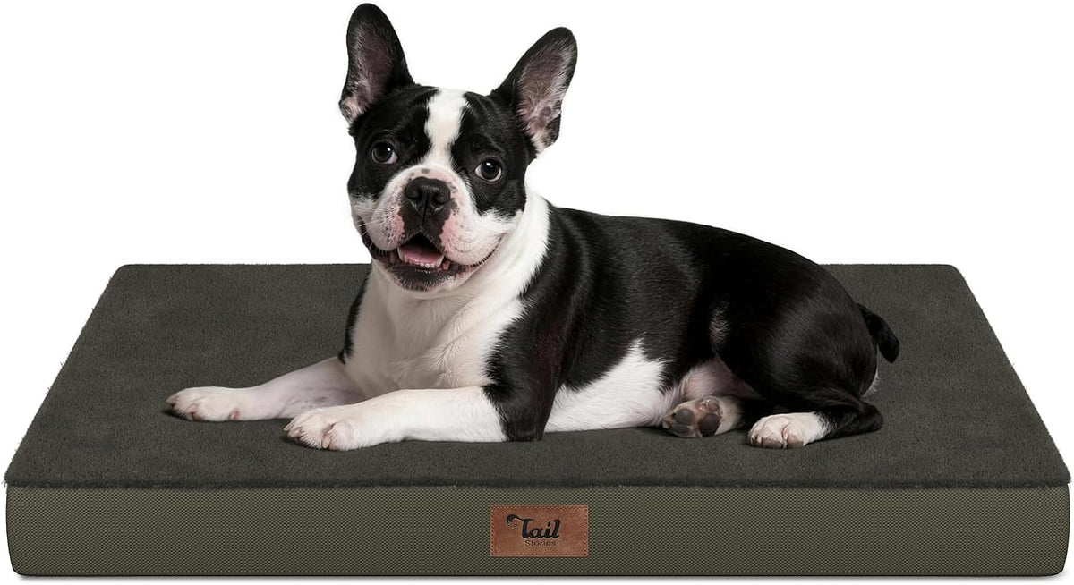 Orthopedic Waterproof Dog Bed for Small Dogs and Cats