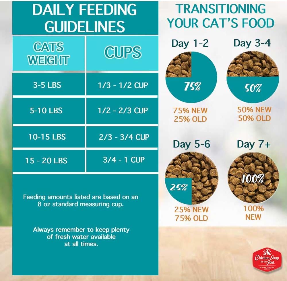 Chicken Soup for the Soul All Natural Premium Adult Dry Cat Food, Real Meat First Ingredient, No By-Products, Supports Heart, Gut & Immune Health, Chicken & Brown Rice, 4.5lb (Pack of 2)