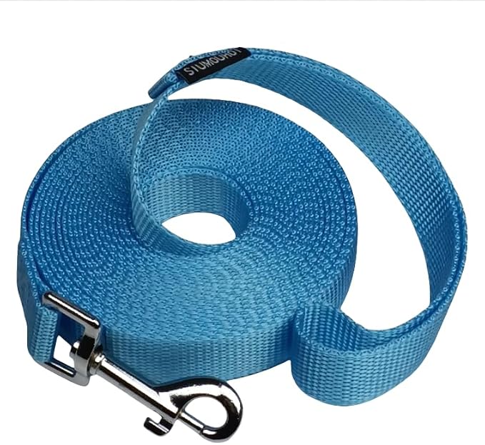 Dog/Puppy Obedience Recall Training Agility Lead - 15ft 20ft 30ft 40ft 50ft Training Leash - Great for Play, Camping, or Backyard (Mint Blue, 30 Feet)