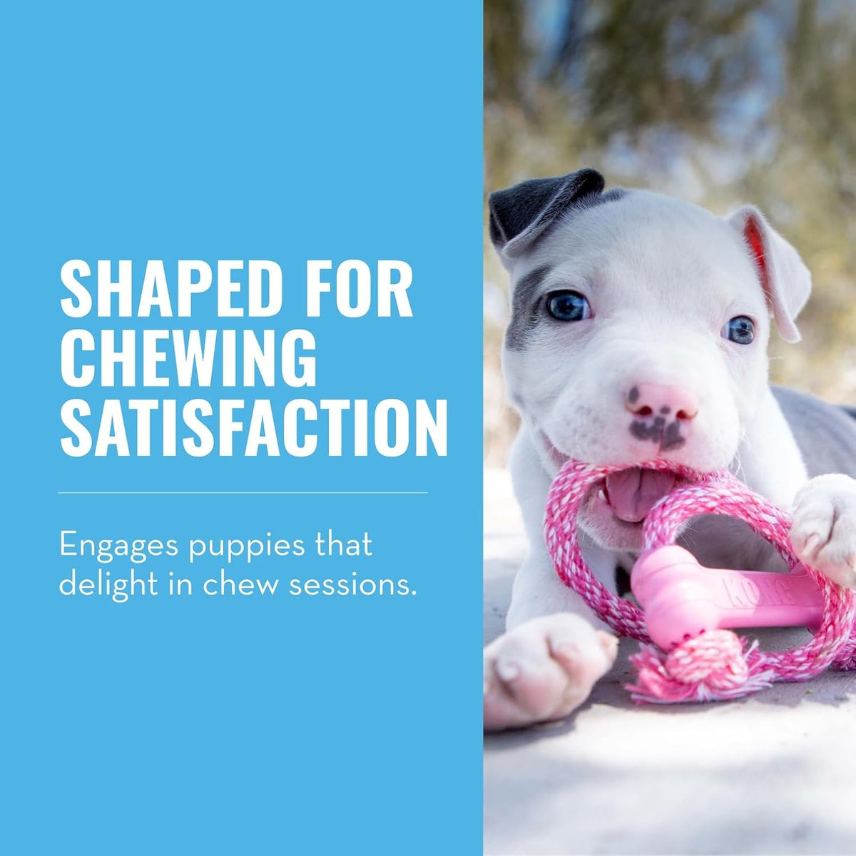 KONG Puppy Goodie Bone with Rope, Natural Rubber, for XS Puppies, Pink | KONG Natural Rubber Bone with a Cotton Rope for Teeth Cleaning & Engaging Chew Play for Growing, Teething Puppies