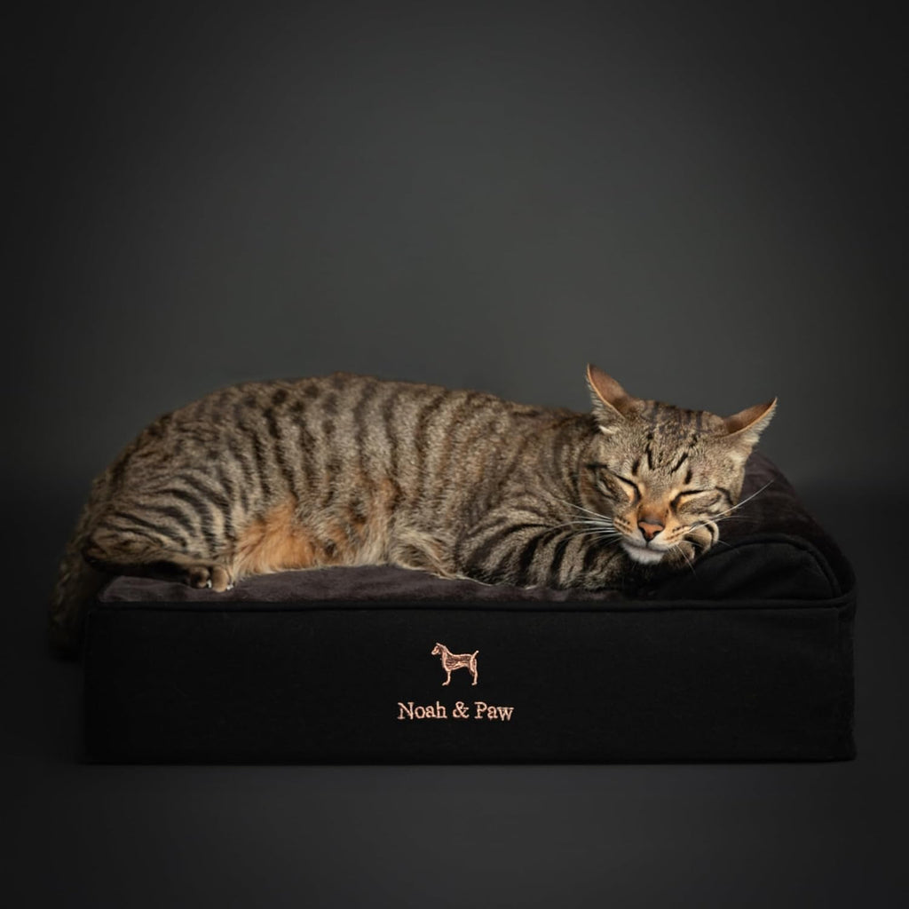 NOAH & PAW Small Cat & Dog Bed Orthopedic Cooling Memory Foam 20x15x6.5