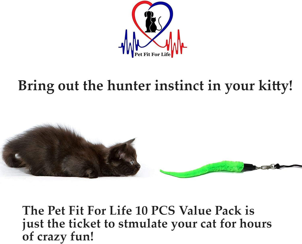 Pet Fit For Life 10-Piece Kitten Toy Refill Pack for Interactive Wands