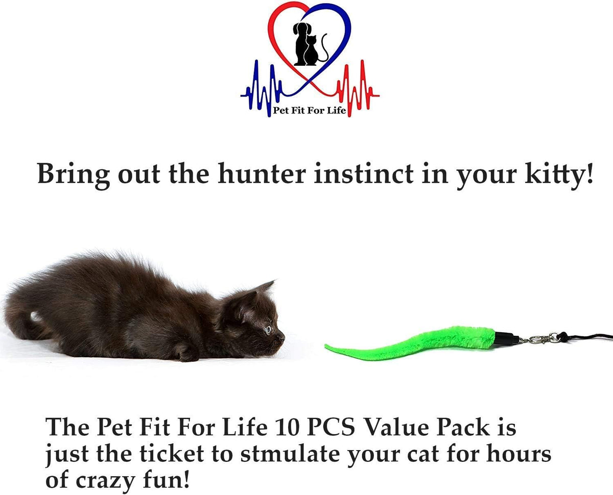 Pet Fit For Life 10-Piece Kitten Toy Refill Pack for Interactive Wands