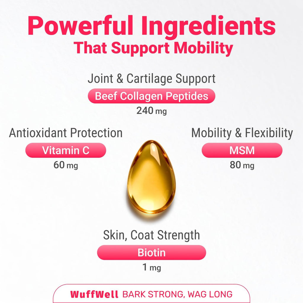 WuffWell Liquid Collagen for Dogs, Joint Support for Dogs, USA Made