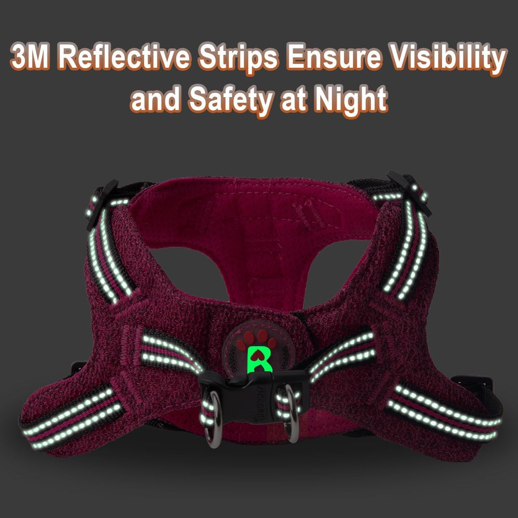 BARKBAY Small Dog Harness,No Pull Puppy Harness,Step-in Dog Vest