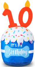 Dansydaisy Dog Birthday Cake Toy Squeaky Plush Gift,10th,Blue | Interactive Squeaky Gift for Dogs, Dog Birthday Decor , Soft Chew for Small Medium Large Pets, Cake Design with Candle