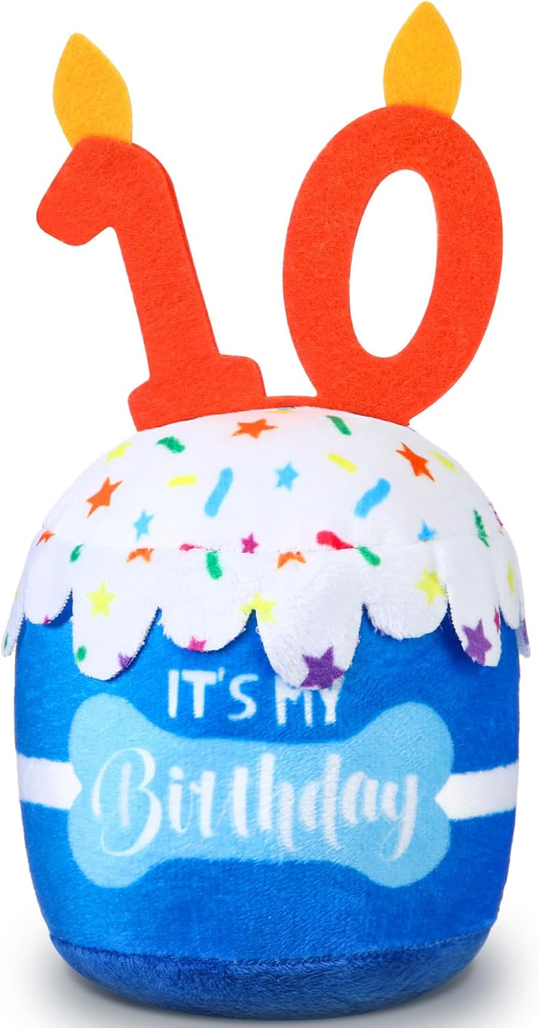 Dansydaisy Dog Birthday Cake Toy Squeaky Plush Gift,10th,Blue | Interactive Squeaky Gift for Dogs, Dog Birthday Decor , Soft Chew for Small Medium Large Pets, Cake Design with Candle