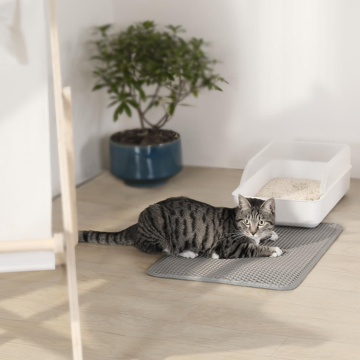 Conlun Cat Litter Trapping Mat for Small Spaces, 23.6"x14.6" Space-Saving Litter Box Floor Mat, Hexagon Grids & Anti-Leak Base, Machine Washable, Non-Slip Kitty Matt for Apartment, Gray