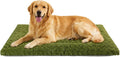 Exsnugy Washable Dog Bed Mat Large Size Fluffy Pet Crate Pad 42x28 XL