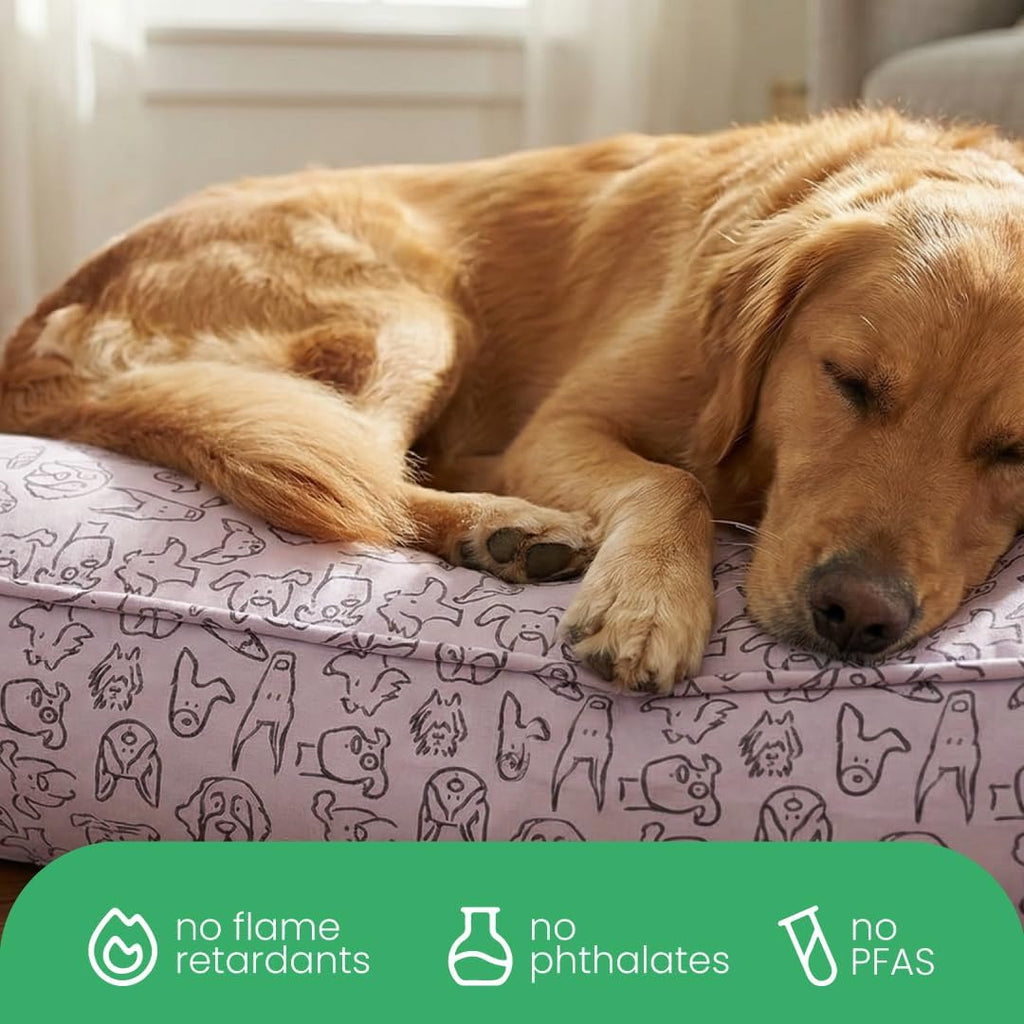 Molly Mutt Only You Dog Bed Duvet Cover, 100% Cotton Canvas Cover for Dog, Puppy, or Cat Bed, Durable, Washable, and Free of Harmful Chemicals, Small, 22"x27"x5"