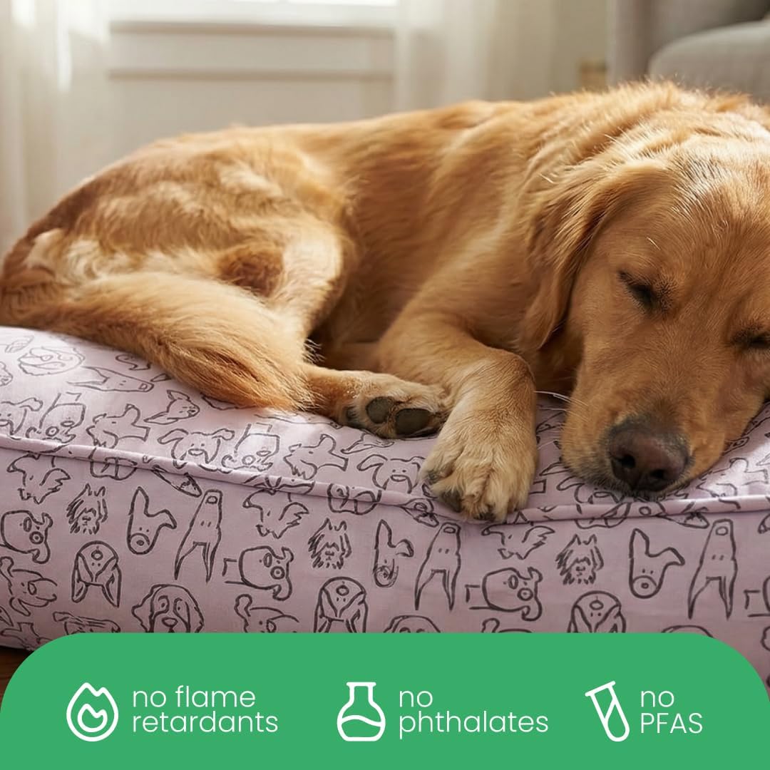 Molly Mutt Only You Dog Bed Duvet Cover, 100% Cotton Canvas Cover for Dog, Puppy, or Cat Bed, Durable, Washable, and Free of Harmful Chemicals, Small, 22"x27"x5"