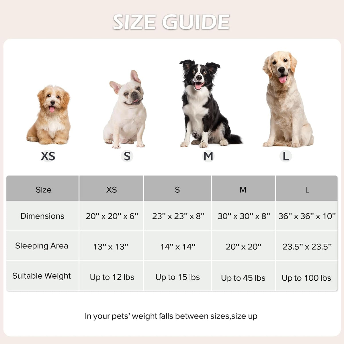 JOEJOY Jacquard Donut Round Dog Beds Medium Sized Dog,Brown 30x30x8in, Removable Washable Cover, Cute Pattern, Ultra Soft Fluffy Calming Pet Bed with Thick Supportive Bolster