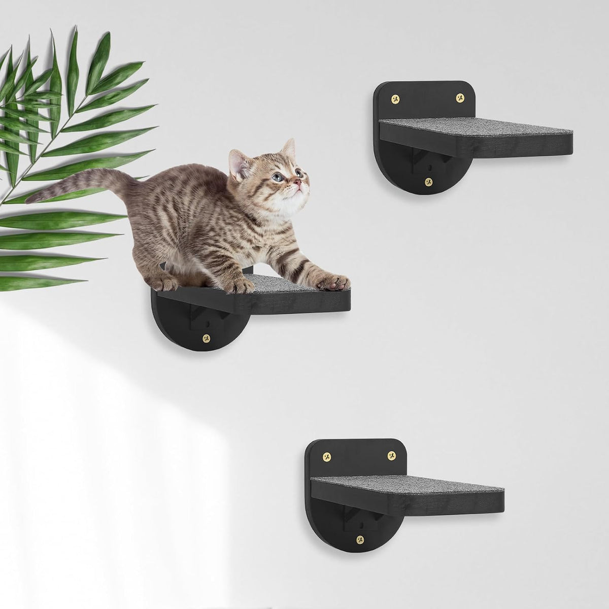 ESPETS Set of 3 Black Cat Wall Climbing Steps, Wall Mount Floating Shelves