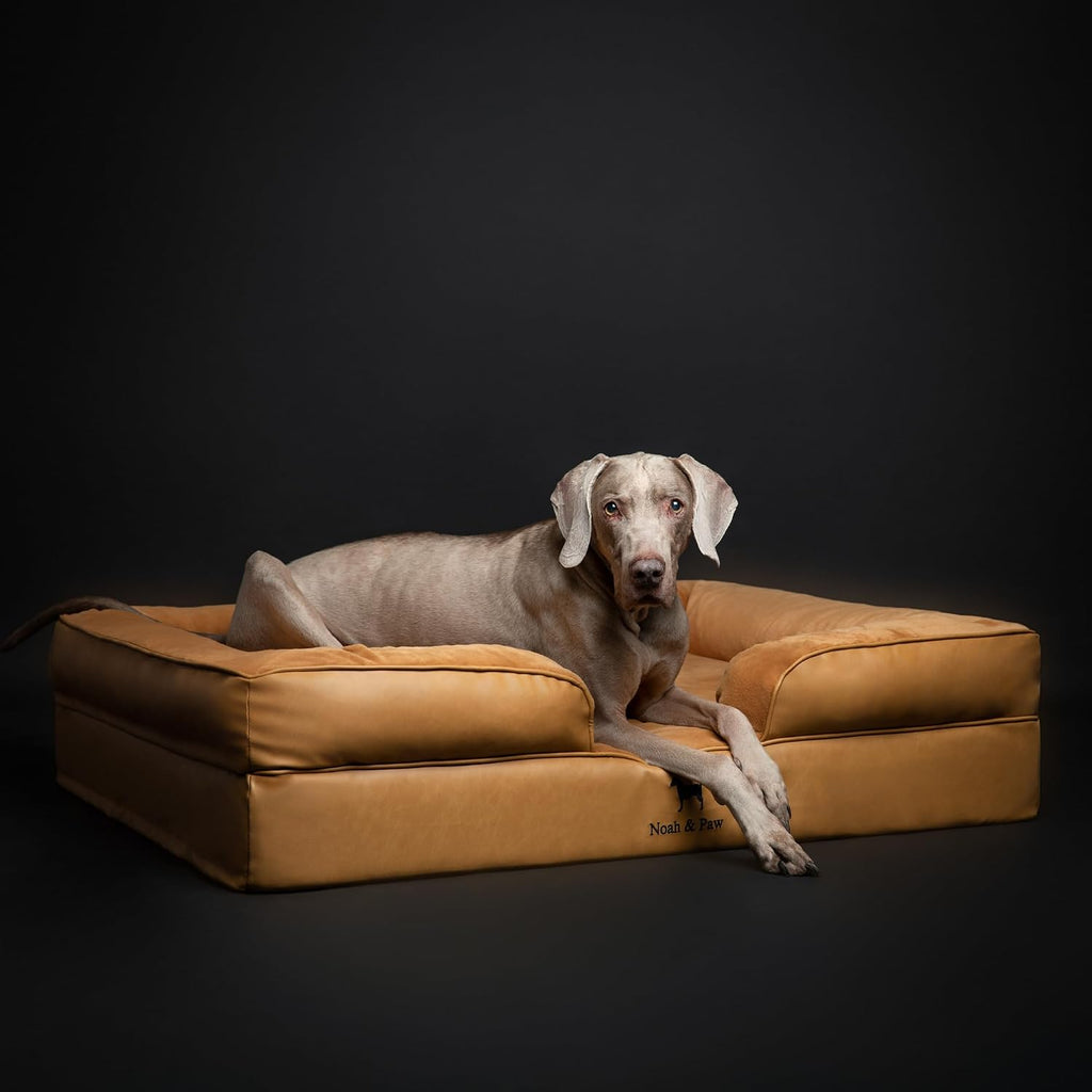 NOAH & PAW Large Dog Bed, Orthopedic Memory Cooling Foam (2X Base) 45x35x11