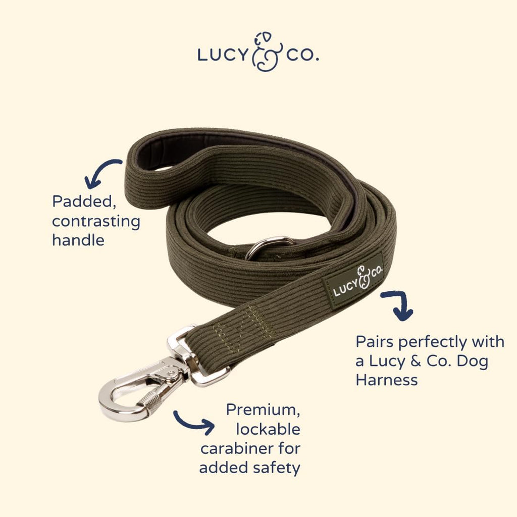 Lucy & Co. Take a Hike Corduroy Dog Leash, L
