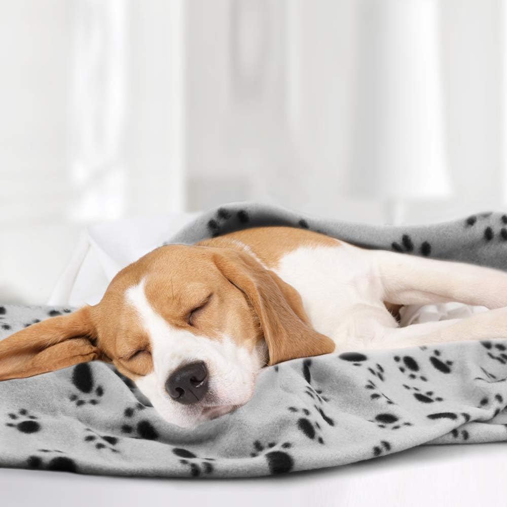 Comsmart Dog Blankets, 6 Pack Fleece Pet Blankets, 39x31 inches, Grey