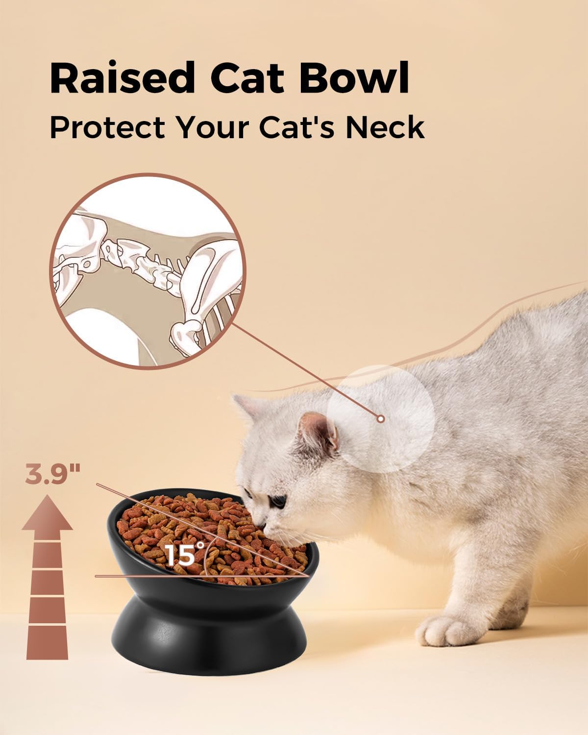 LoeJan Elevated Cat Food Bowl, 5 Oz Ceramic Raised and Tilted Water Bowl, Anti Vomiting and Protect Pets' Spines Dishes for Small Dog, Fat Faced Cat, Kitten (Black, 2 Pack)