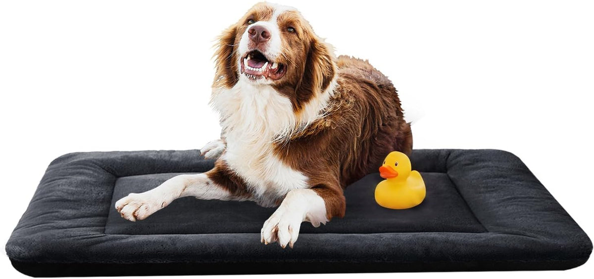 Dog Crate Pad Washable Dog Bed for Crate Large Cozy Mat 48-Inch Dark Gray