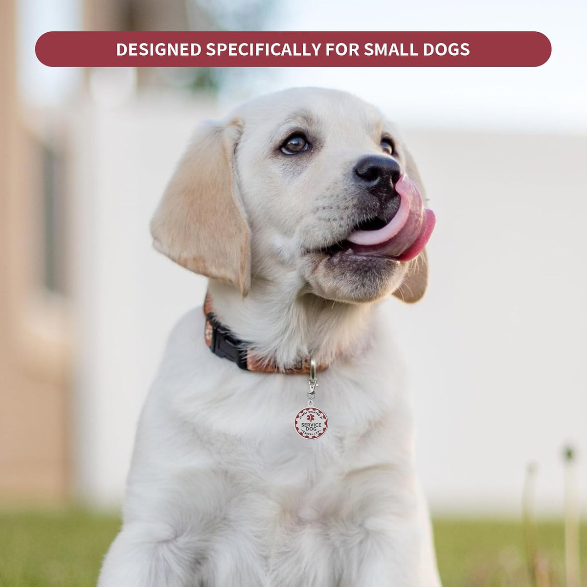 Service Dog TAG Industrial Puppy for Service Animals, Emotional Support Dogs & Therapy Dogs Entirely Surgical Stainless Steel Easily Attach to Collar, Harness-Two-Sided (Service Dog TAG)