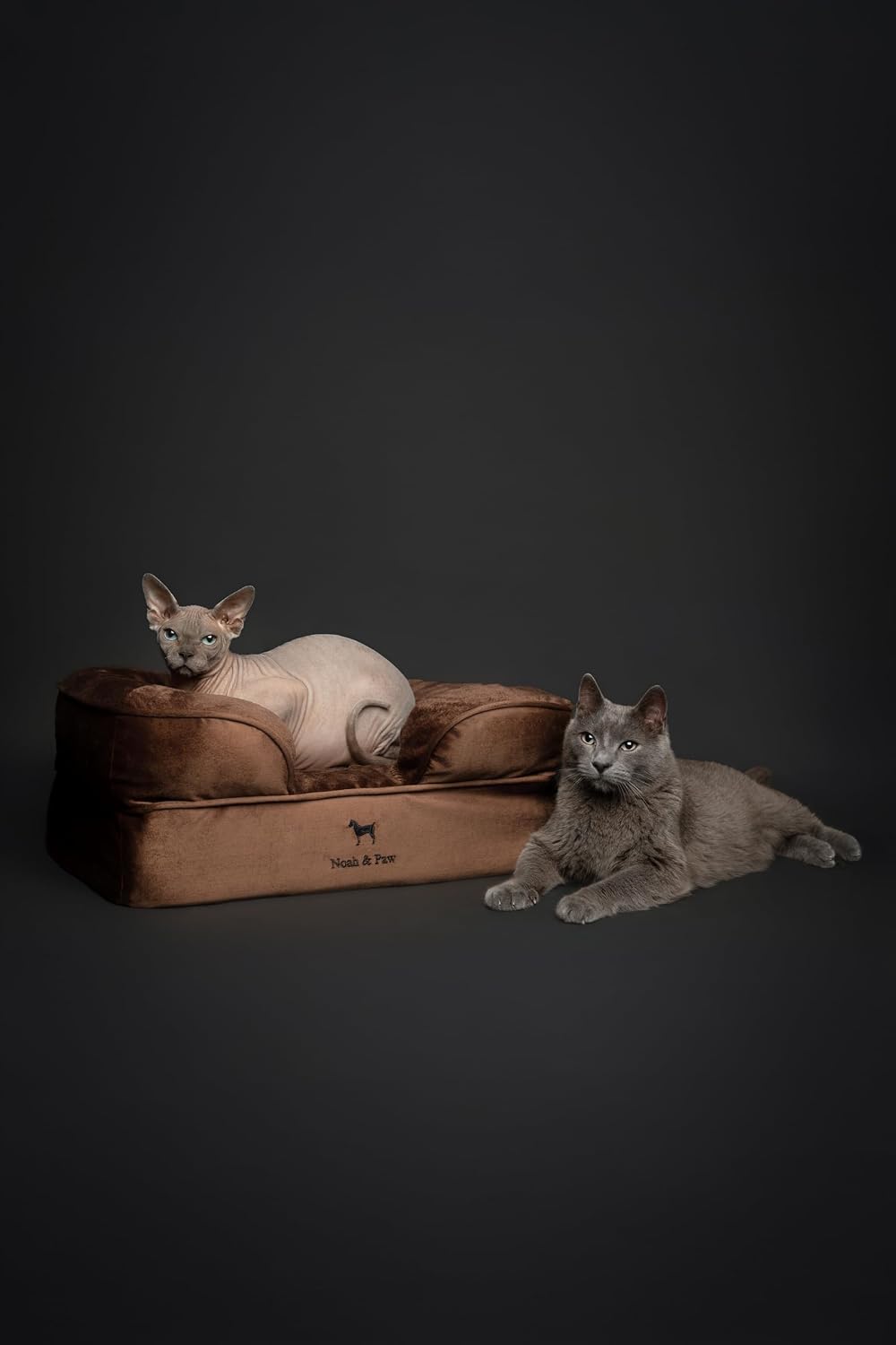 NOAH & PAW Cat Bed, XS Dog Bed, Orthopedic Memory Foam (2X Base) 20x15x8 in