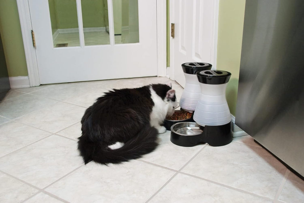 PetSafe Healthy Pet Water Station, 64 oz, Stainless Steel Bowl, Small