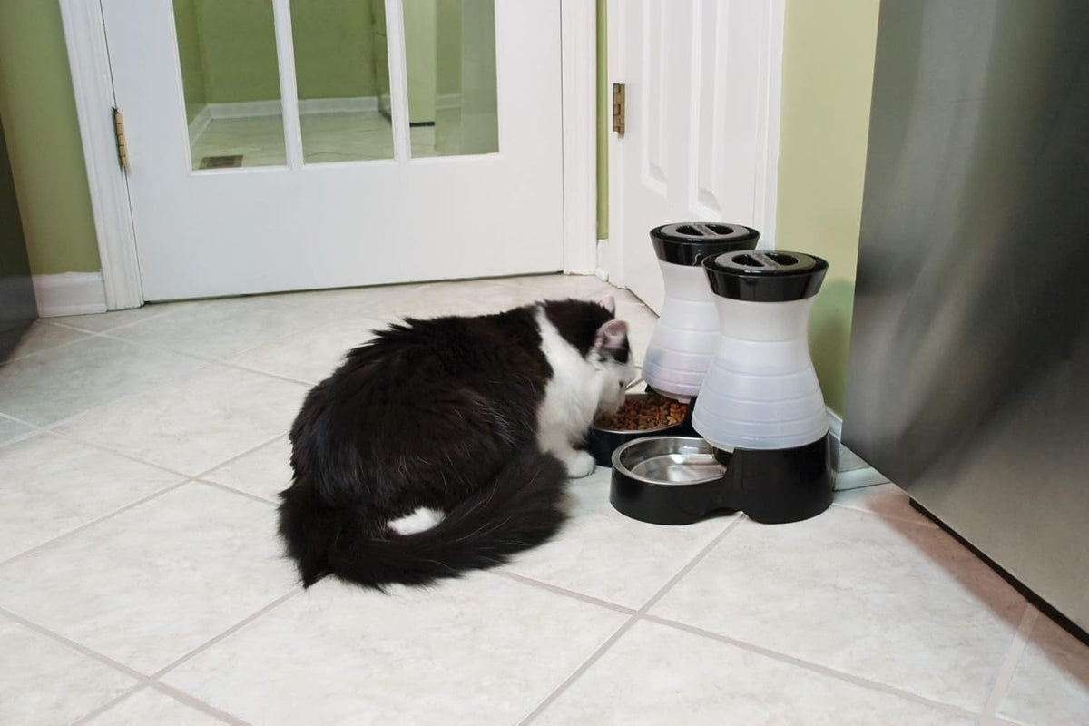 PetSafe Healthy Pet Water Station, 64 oz, Stainless Steel Bowl, Small